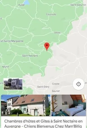 Penzion Maison D'hotes A Nectaire Chez Mambillig 3*